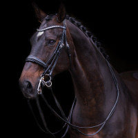 Bride Impérial Riding Fria Bordeaux