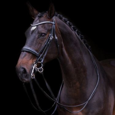 Imperial Riding Fria Trense Schwarz Imperial Riding Fria Trense Schwarz
