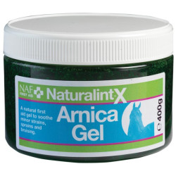 Arnica Gel NaturalintX NAF Arnica Gel NaturalintX NAF
