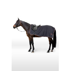 Nierendecke Physical Sophistication Horze
