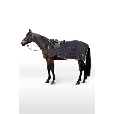 Nierendecke Physical Sophistication Horze