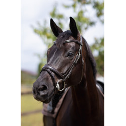 Filet Trensenzaum Nature Made Leisure Horze Espressobraun