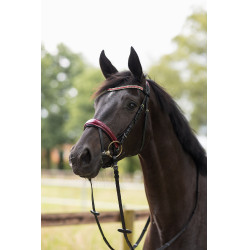 Reithalfter Physical Sophistication Horze Reithalfter Physical Sophistication Horze