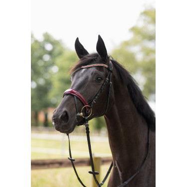 Reithalfter Physical Sophistication Horze Reithalfter Physical Sophistication Horze