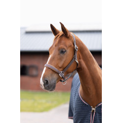 Lederhalfter Physical Sophistication Horze Braun