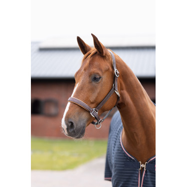 Lederhalfter Physical Sophistication Horze Lederhalfter Physical Sophistication Horze