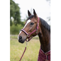 Halfter Physical Sophistication Horze Halfter Physical Sophistication Horze