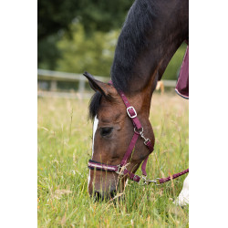 Halfter Physical Sophistication Horze Halfter Physical Sophistication Horze