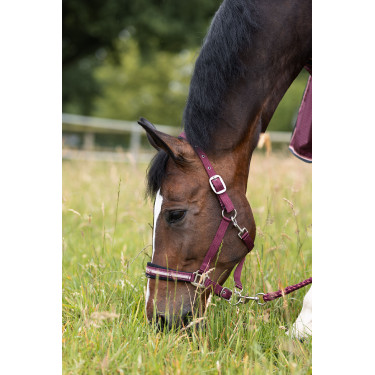 Halfter Physical Sophistication Horze Halfter Physical Sophistication Horze