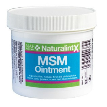 MSM Salbe NaturalintX NAF MSM Salbe NaturalintX NAF