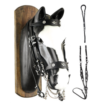 Portugiesisches Leder-Set Braganza JM Portugiesisches Leder-Set Braganza JM