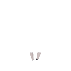 LeMieux Footsie Socken LeMieux Footsie Socken