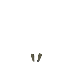 LeMieux Footsie Socken LeMieux Footsie Socken