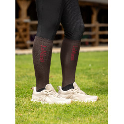 Wettkampfsocken LeMieux 2 Paar Asche Bordeaux Wettkampfsocken LeMieux 2 Paar Asche Bordeaux