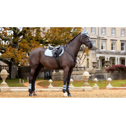 LeMieux Wildleder Close Contact Schabracke Gletscher Blau