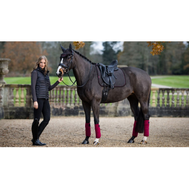 LeMieux Suede Dressur Schabracke Asche Bordeaux