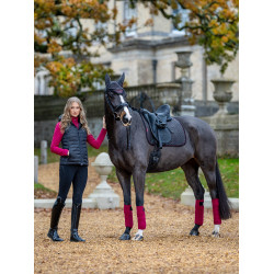 LeMieux Suede Dressur Schabracke Asche Bordeaux