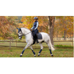 LeMieux Loire Classic Dressur Schabracke Petrol Blau