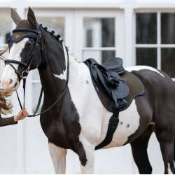 LeMieux Wildleder GP Square Schabracke