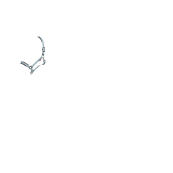 LeMieux Logo Halfter LeMieux Logo Halfter