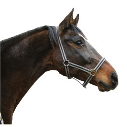 Halfter Hippo Covalliero Schwarz / Silber