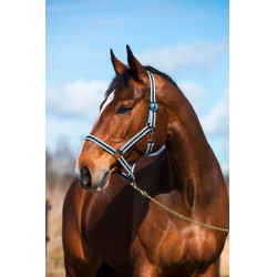 Halfter Hippo Covalliero Schwarz / Silber