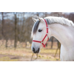 Halfter Hippo Covalliero Rosa / Braun