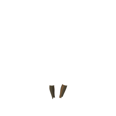 Silikonsocken LeMieux Silikonsocken LeMieux
