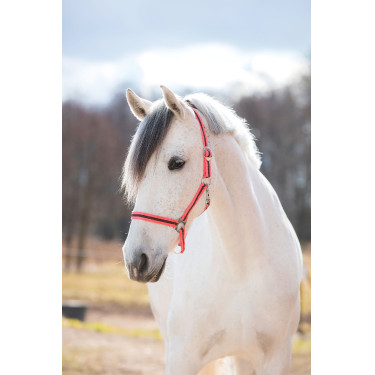 Halfter Hippo Covalliero Rosa / Braun