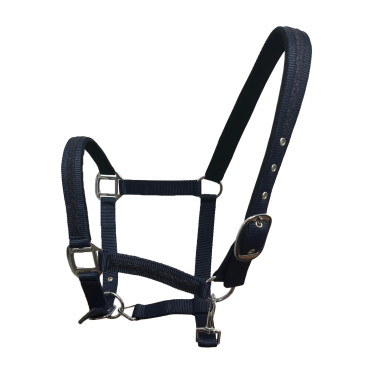 Set aus Halfter und Führstrick Flags & Cup Atamik Schwarz