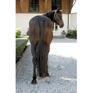 Schwarz Gummi-Schweifschutz Covalliero Schwarz Gummi-Schweifschutz Covalliero
