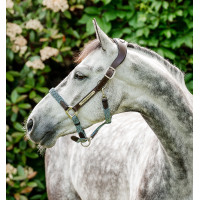 Horseware geflochtenes Signature-Halfter Braun / Marineblau / Nebelblau Mehrfarbig Horseware geflochtenes Signature-Halfter Braun / Marineblau / Nebelblau Mehrfarbig