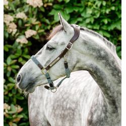 Horseware geflochtenes Signature-Halfter Braun / Marineblau / Nebelblau Mehrfarbig