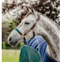 Horseware geflochtenes Signature-Halfter