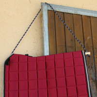 Schabrackenträger Canter Marineblau