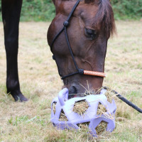 Spielball / Heuball Kentucky Grau Spielball / Heuball Kentucky Grau