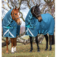 Horseware Amigo AmEco 12 Plus 250g Decke Dunkelblau / Himmelblau / Dunkelblau