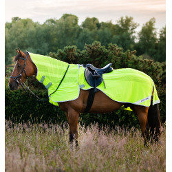 Fliegendecke Horseware Fluo Amigo Flyrider 0g Neongelb Fliegendecke Horseware Fluo Amigo Flyrider 0g Neongelb