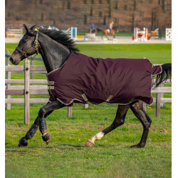 Horseware Amigo Hero Ripstop Lite 0g Decke Feige Lila