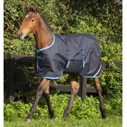Couverture poulain Horseware Amigo Ripstop Foal 200g Marine / bleu électrique