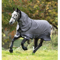 Pferdedecke Horseware Amigo Bravo 12 Reflectech Plus 100g Pferdedecke Horseware Amigo Bravo 12 Reflectech Plus 100g