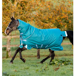Horseware Amigo® Bravo 12 Plus 400g 1200D Decke Grün / Türkis Gr&uuml;n