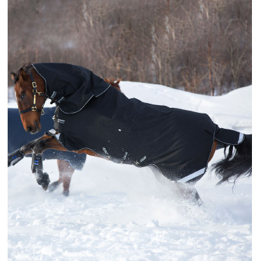 Horseware Amigo Super Bravo Plus 250g Decke Horseware Amigo Super Bravo Plus 250g Decke