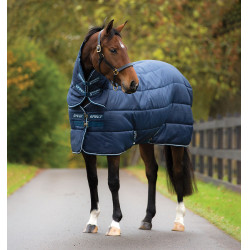 Horseware Amigo Insulator Plus 350g Decke mit Halsteil Horseware Amigo Insulator Plus 350g Decke mit Halsteil