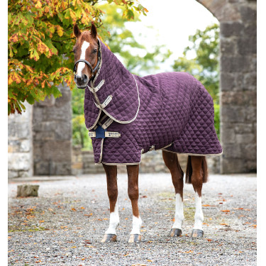 Boxdecke Horseware Amigo Plus Disc 200g Boxdecke Horseware Amigo Plus Disc 200g