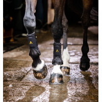 Gamaschen Horseware Adagio Schwarz / Gelb Gamaschen Horseware Adagio Schwarz / Gelb
