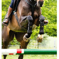 Gamaschen Horseware Adagio Schwarz / Gelb