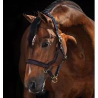 Rambo Micklem Halfter Horseware Braun