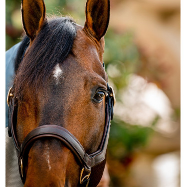 Rambo Micklem Halfter Horseware Braun