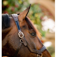 Rambo Micklem Halfter Horseware Braun